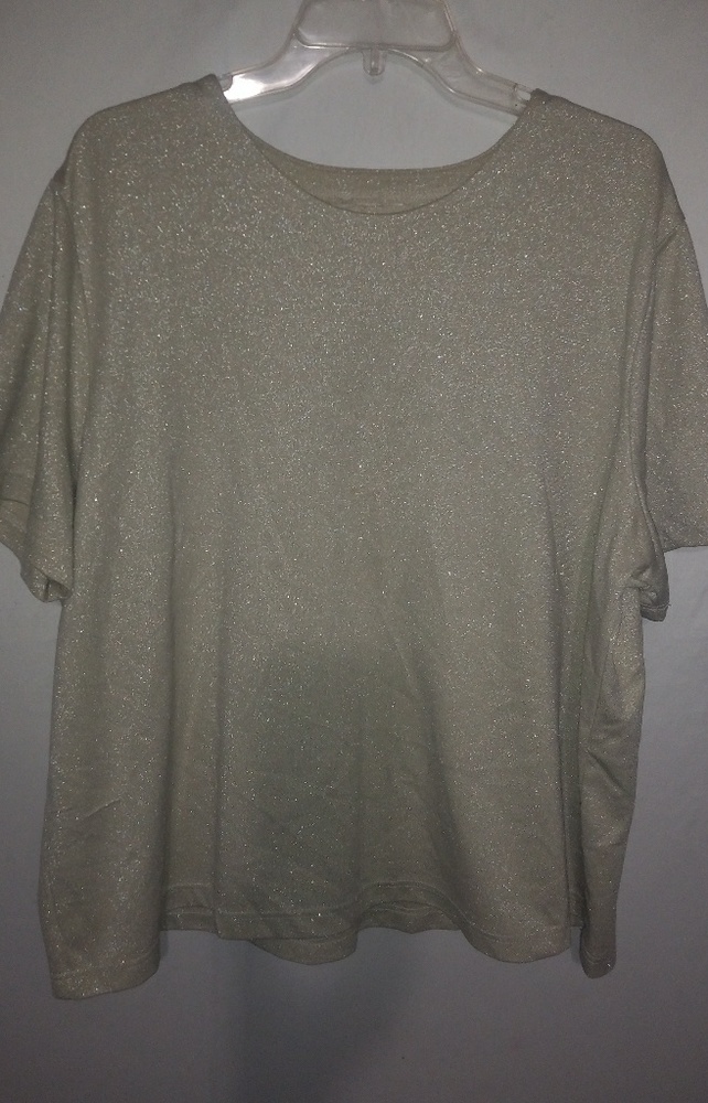 Beautiful 2X Glistening Gold Stretch Top Plus